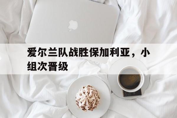 爱尔兰队战胜保加利亚，小组次晋级的简单介绍